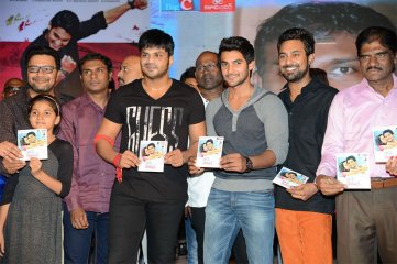 Pyaar Mein Padipoyane Audio Launch